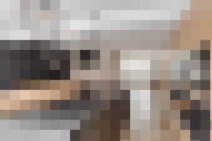 Zwaanvelden 30 Best thumbnail 12