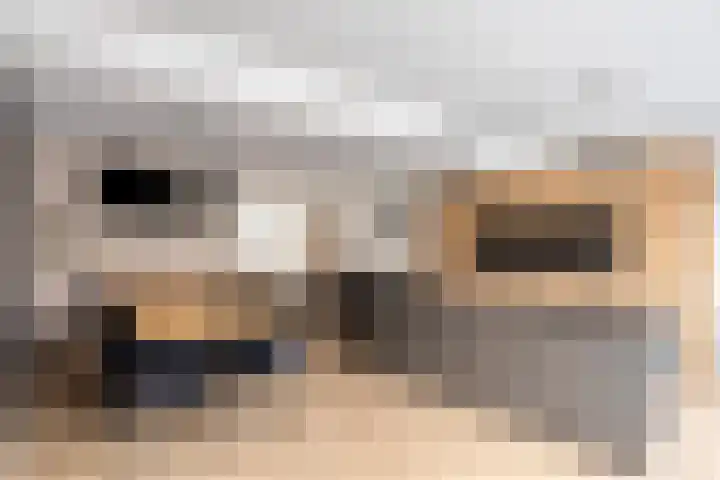 Zwaanvelden 30 Best thumbnail 13