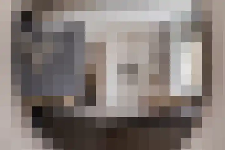Zwaanvelden 30 Best thumbnail 17