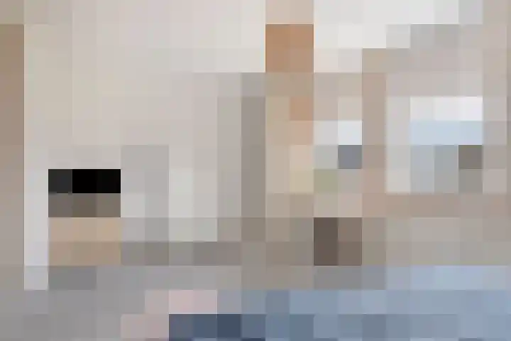 Zwaanvelden 30 Best thumbnail 25