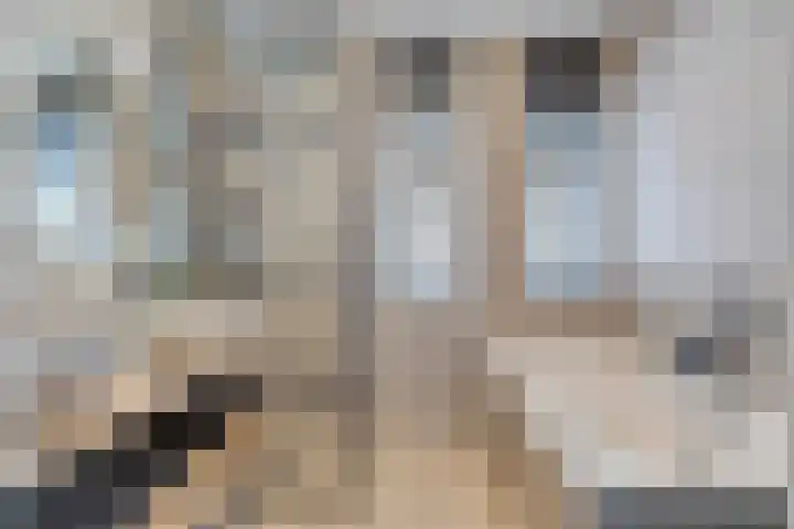 Zwaanvelden 30 Best thumbnail 26