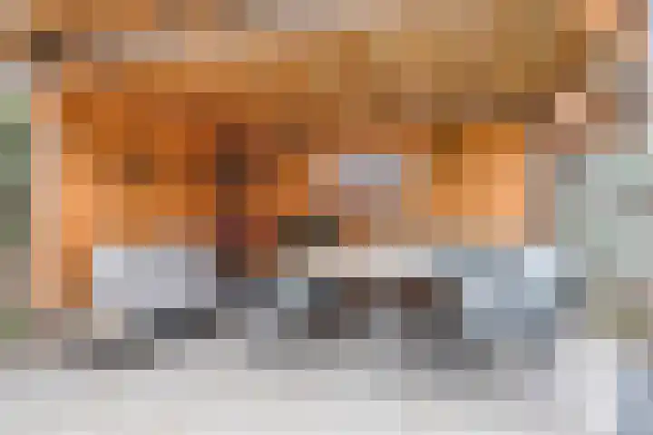 Zwaanvelden 30 Best thumbnail 36