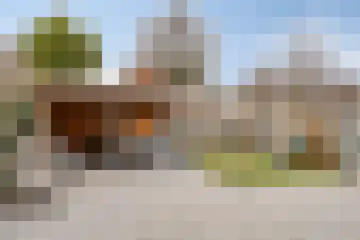 Zwaanvelden 30 Best thumbnail 37