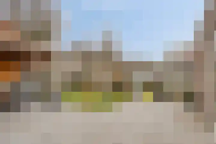 Zwaanvelden 30 Best thumbnail 38