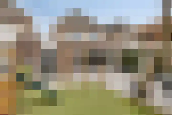 Zwaanvelden 30 Best thumbnail 40