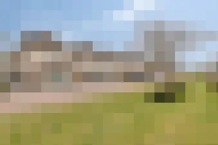 Zwaanvelden 30 Best thumbnail 42