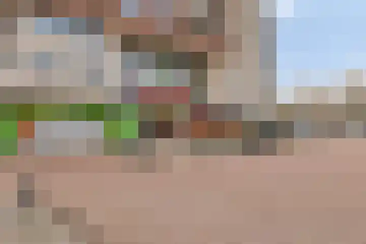 Zwaanvelden 30 Best thumbnail 43