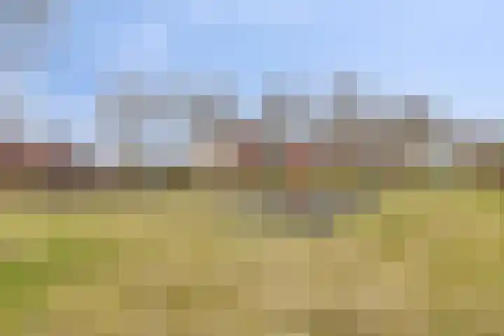 Zwaanvelden 30 Best thumbnail 44