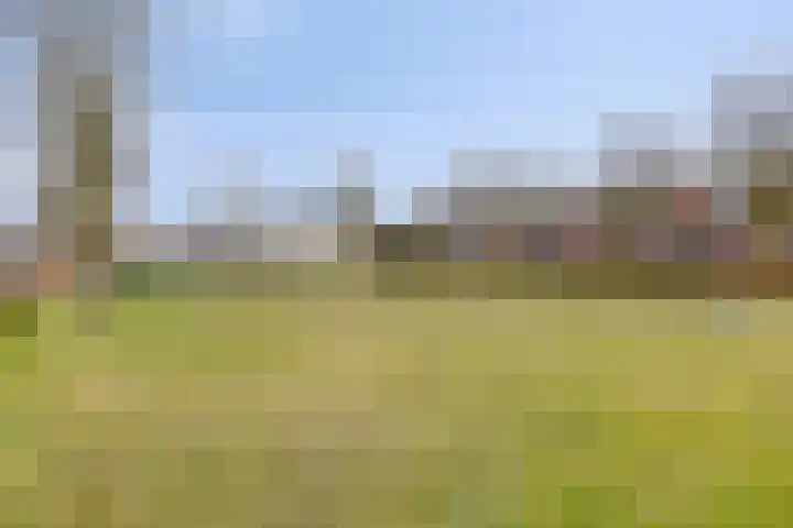 Zwaanvelden 30 Best thumbnail 45