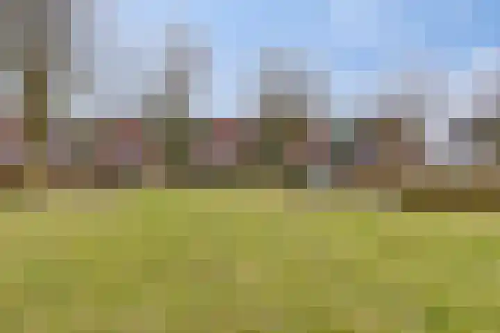 Zwaanvelden 30 Best thumbnail 46
