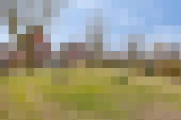 Zwaanvelden 30 Best thumbnail 47