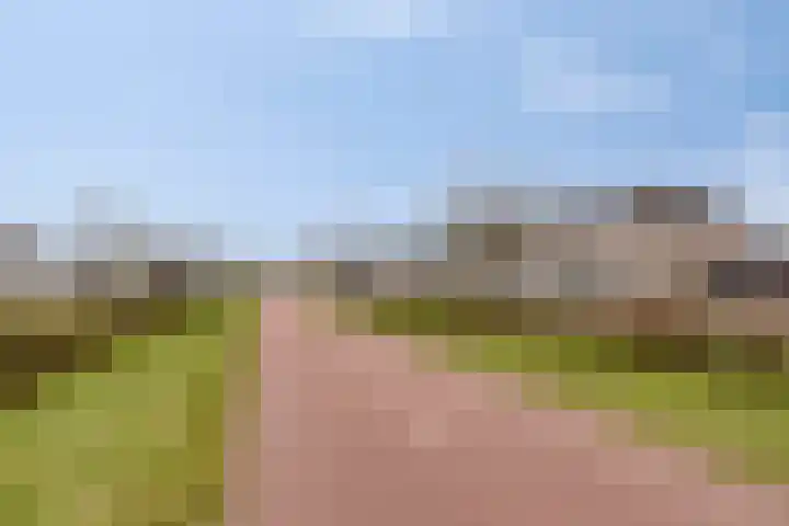Zwaanvelden 30 Best thumbnail 48
