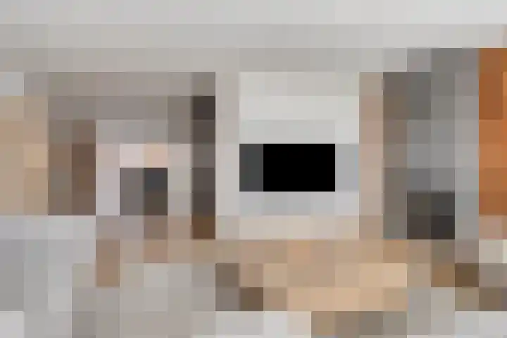 Zwaanvelden 30 Best thumbnail 7