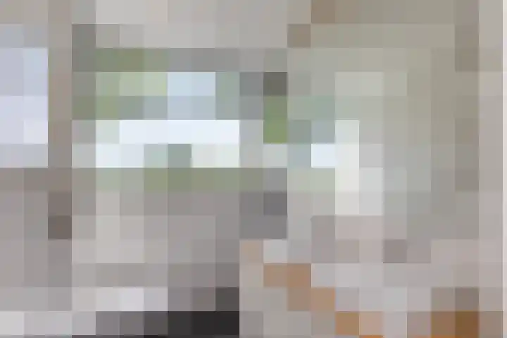 Zwaanweg 2 Koudekerke thumbnail 23