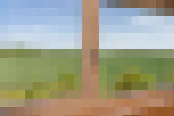 Zwaanweg 2 Koudekerke thumbnail 28