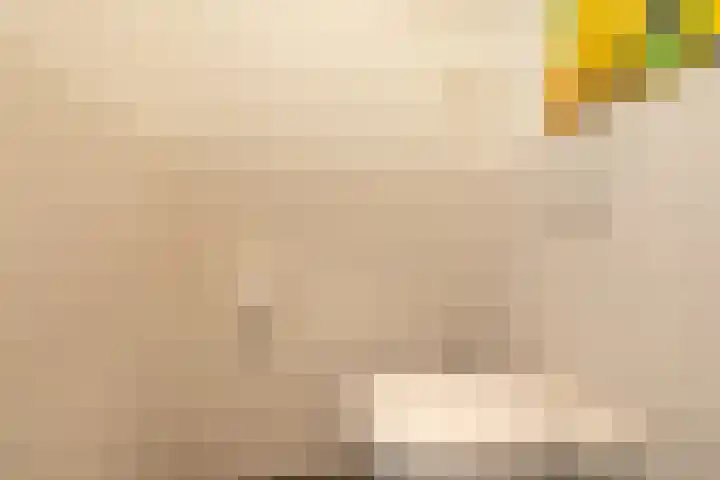 Zwaanweg 2 Koudekerke thumbnail 33