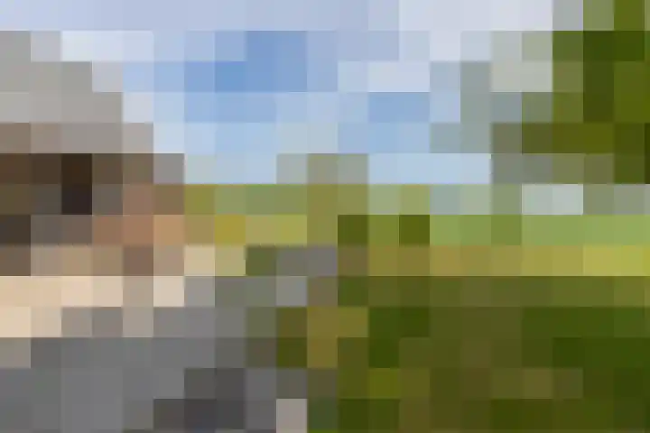 Zwaanweg 2 Koudekerke thumbnail 37