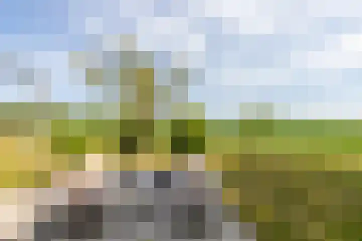 Zwaanweg 2 Koudekerke thumbnail 38