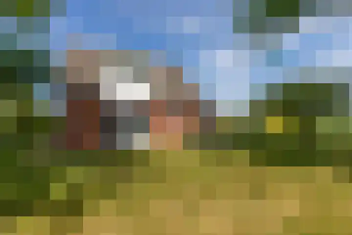 Zwaanweg 2 Koudekerke thumbnail 39