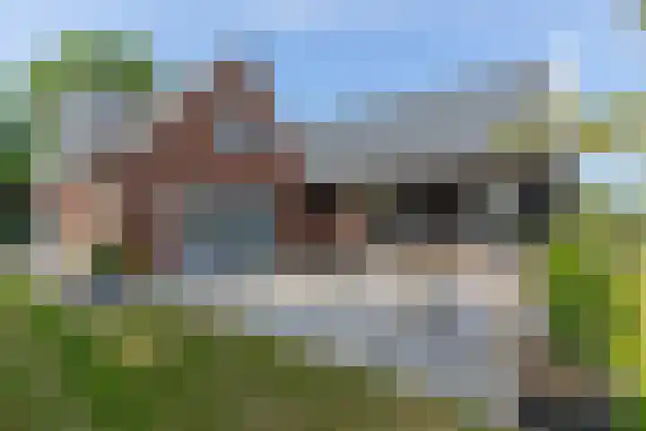 Zwaanweg 2 Koudekerke thumbnail 4