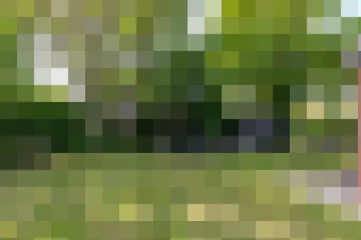 Zwaanweg 2 Koudekerke thumbnail 40