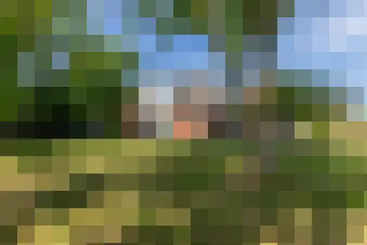 Zwaanweg 2 Koudekerke thumbnail 41