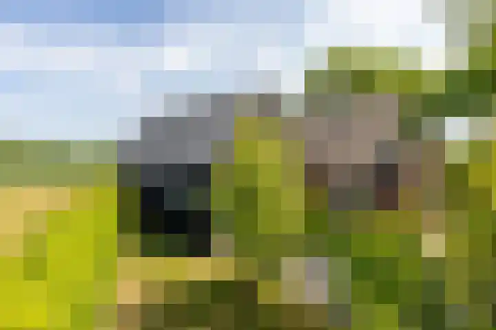 Zwaanweg 2 Koudekerke thumbnail 44