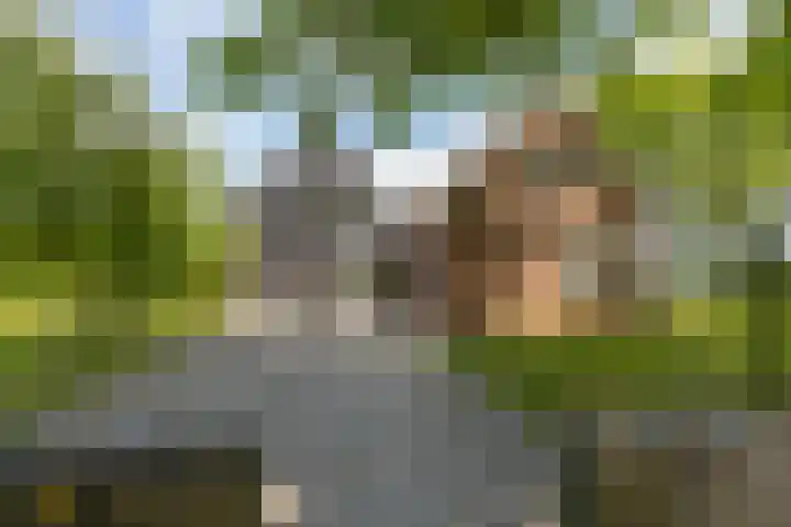Zwaanweg 2 Koudekerke thumbnail 45