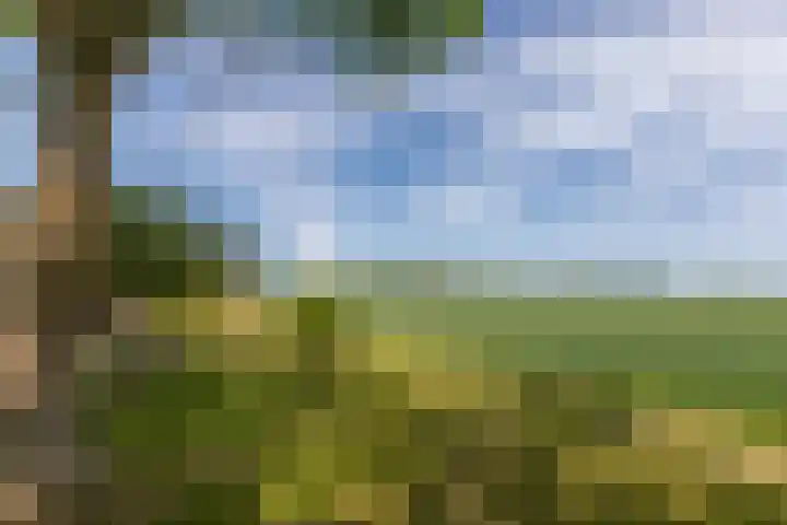 Zwaanweg 2 Koudekerke thumbnail 5