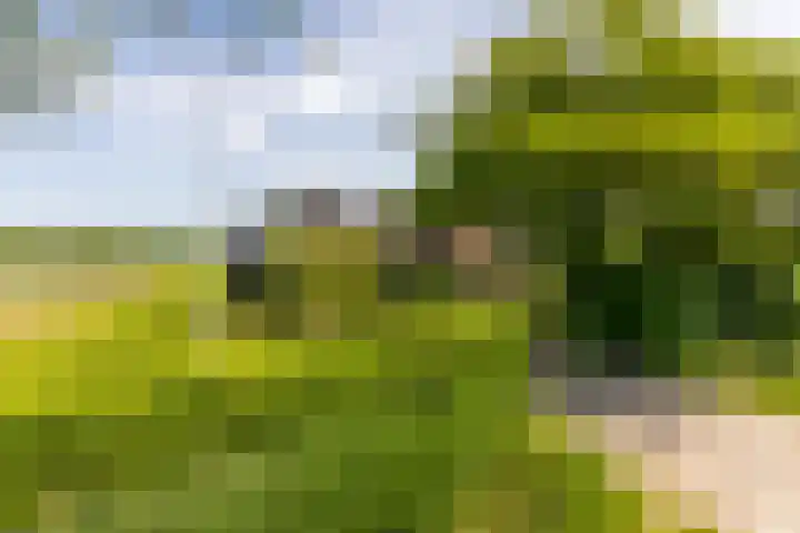 Zwaanweg 2 Koudekerke thumbnail 54