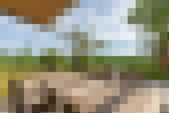 Zwaanweg 2 Koudekerke thumbnail 6