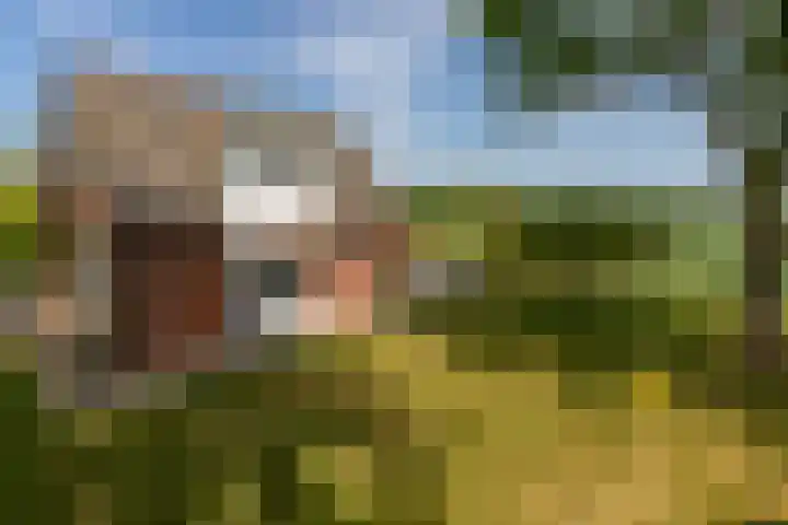 Zwaanweg 2 Koudekerke thumbnail 7