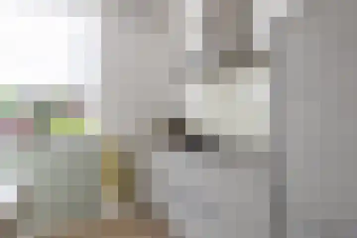 Zwaanweg 30 Werkhoven thumbnail 17