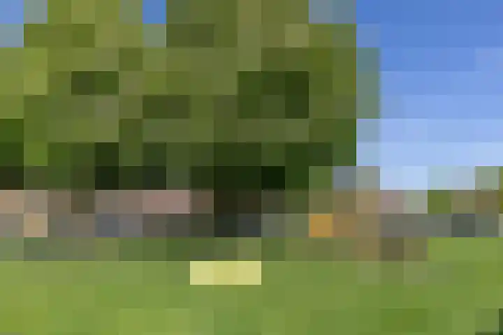 Zwaanweg 30 Werkhoven thumbnail 41