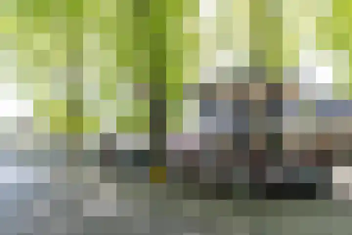 Zwaanweg 30 Werkhoven thumbnail 42