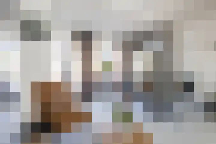 Zwaanweg 30 Werkhoven thumbnail 7