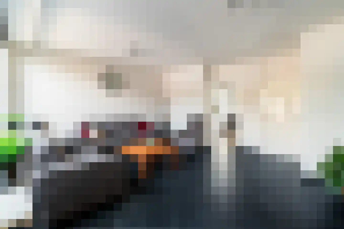 Zwaanweg 34 Werkhoven thumbnail 8