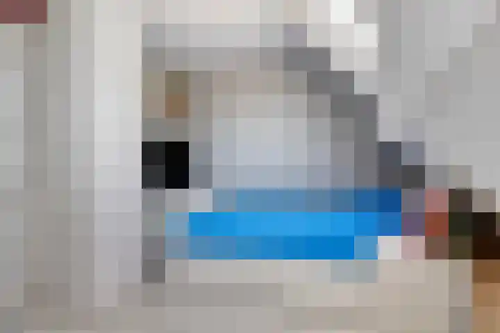 Zwaanwijk 12 Zwijndrecht thumbnail 32