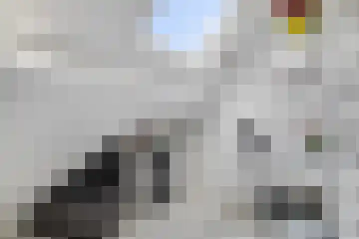 Zwaanwijk 12 Zwijndrecht thumbnail 34