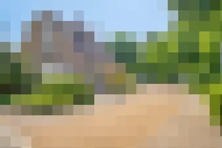 Zwaanwijk 12 Zwijndrecht thumbnail 41