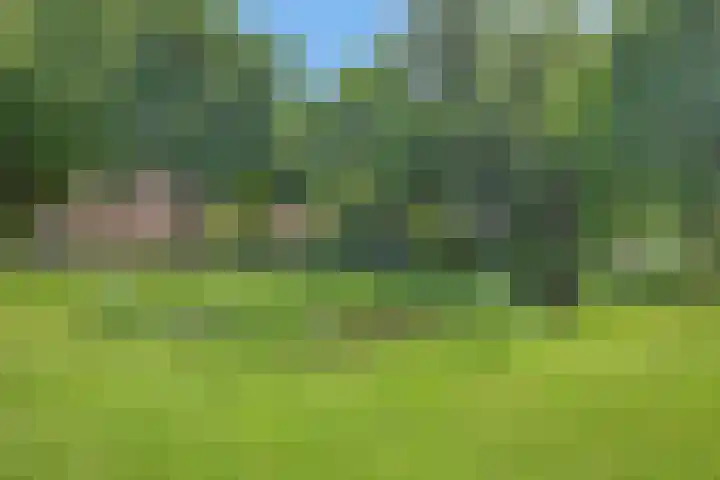 Zwaanwijk 12 Zwijndrecht thumbnail 48