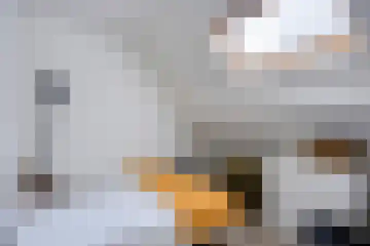 Zwaanwijk 6 Zwijndrecht thumbnail 31