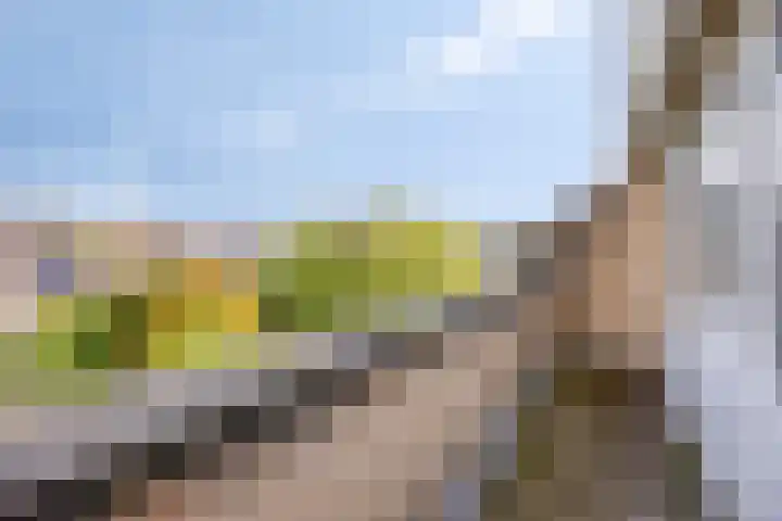 Zwaanwijk 6 Zwijndrecht thumbnail 35