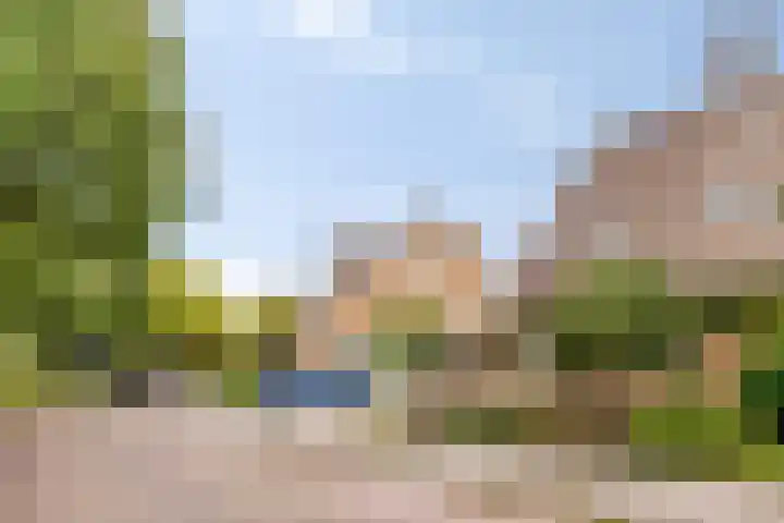 Zwaanwijk 6 Zwijndrecht thumbnail 38