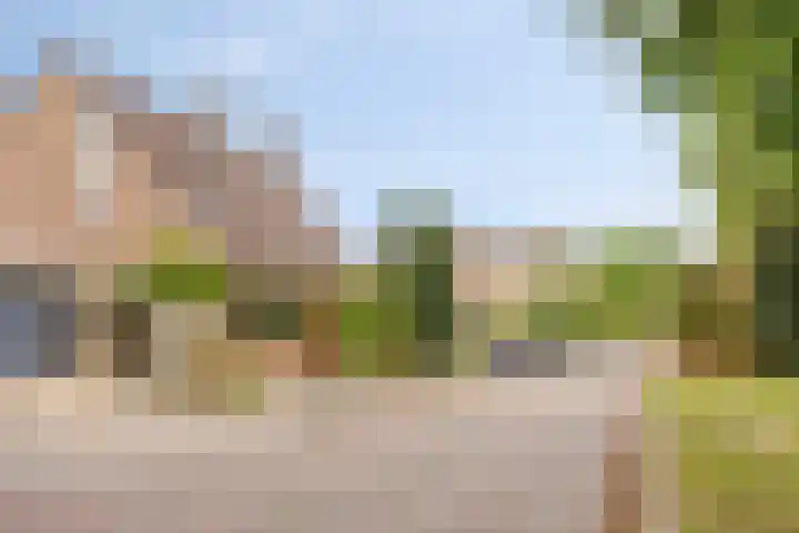 Zwaanwijk 6 Zwijndrecht thumbnail 39