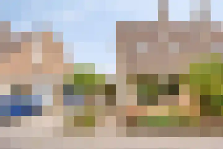 Zwaanwijk 6 Zwijndrecht thumbnail 40