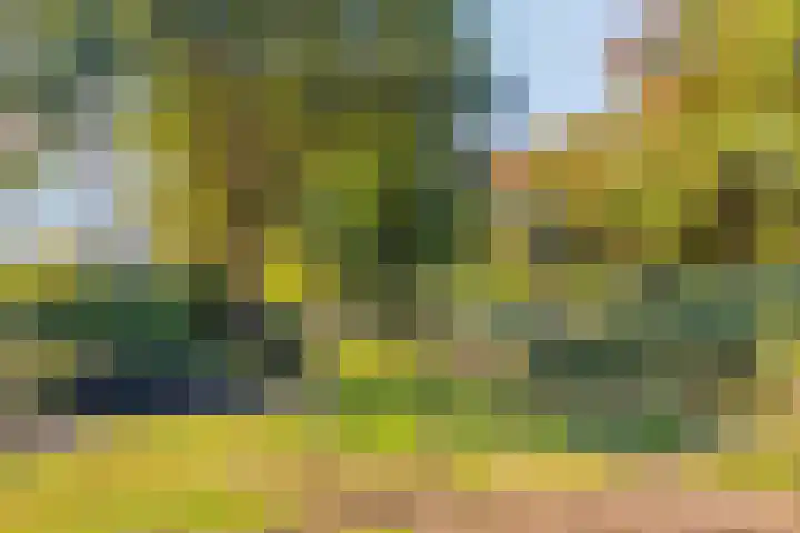 Zwaanwijk 6 Zwijndrecht thumbnail 41