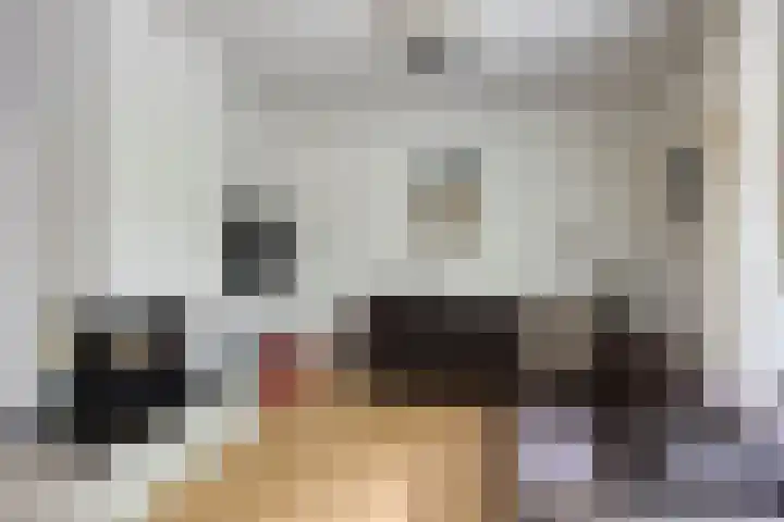 Zwaanwijk 6 Zwijndrecht thumbnail 7