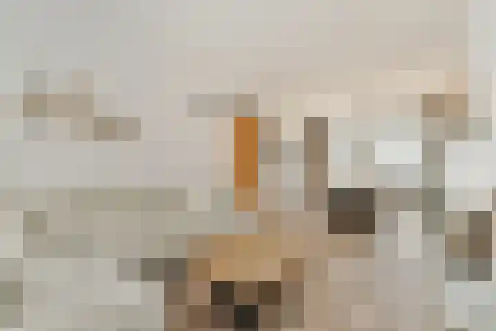 Zwaardemakerstraat 6 Zaandam thumbnail 4