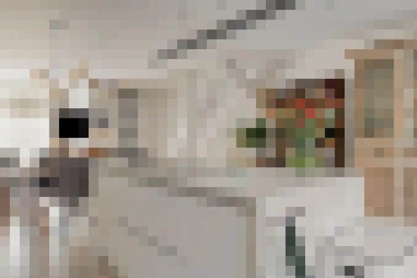 Zwaardenburg 1 Nieuwegein thumbnail 12